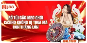 bo-tui-cac-meo-choi-casino-khong-bi-thua-ma-con-thang-lon