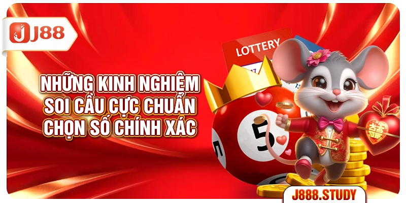 nhung-kinh-nghiem-soi-cau-cuc-chuan-chon-so-chinh-xac